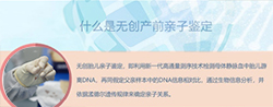福建孕期亲子鉴定去哪里办理，福建产前亲子鉴定出结果时间